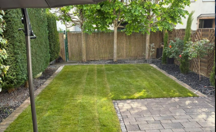 Garten nach der Rollrasenverlegung mit geschlossener grüner Rasenfläche
